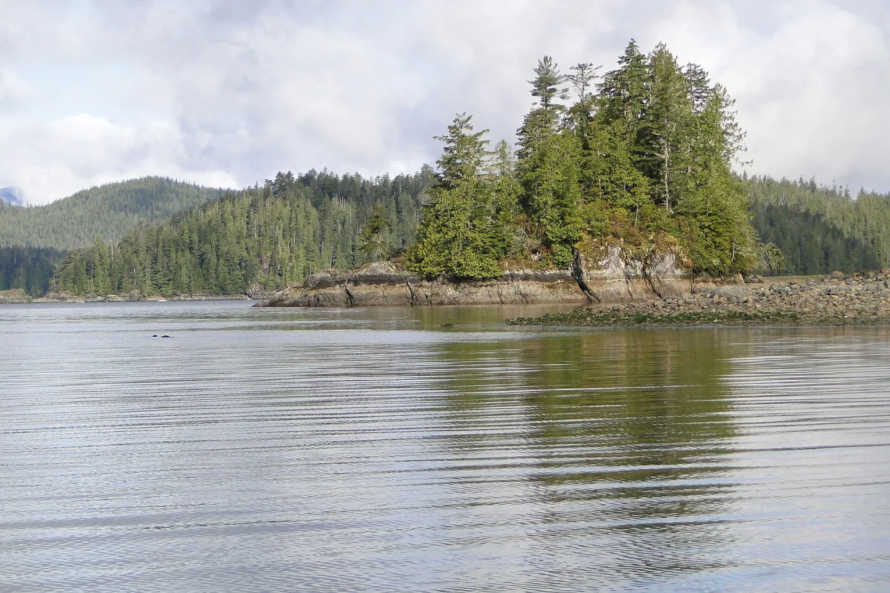 Forested islands reflected in the still water of Clayoquot Sound near Tofino