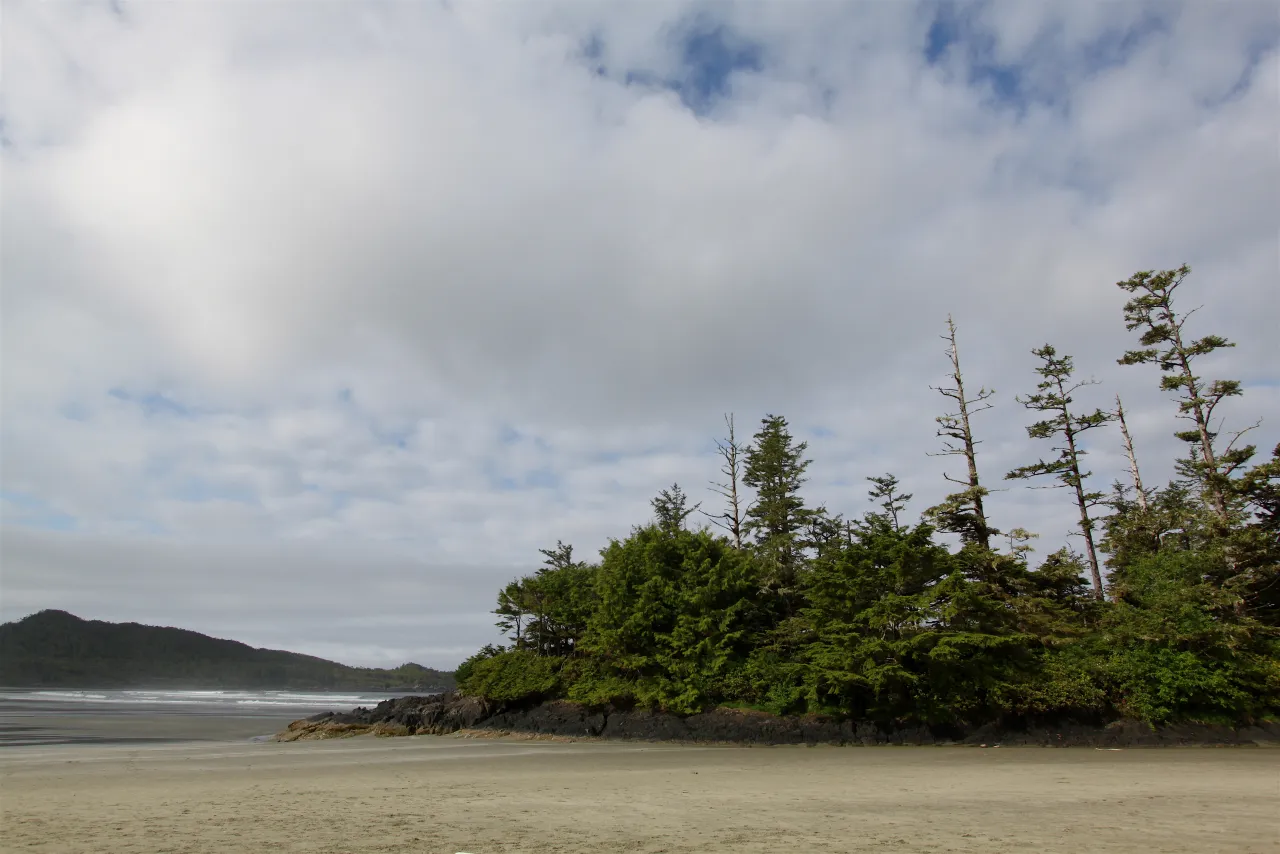 Forested islet beside the beach at Cox Bay