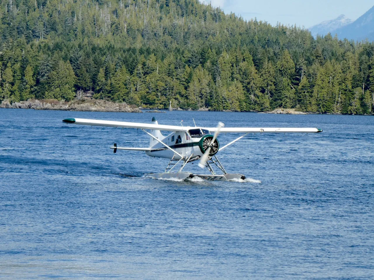 A floatplane touching down on calm blue water near Tofino