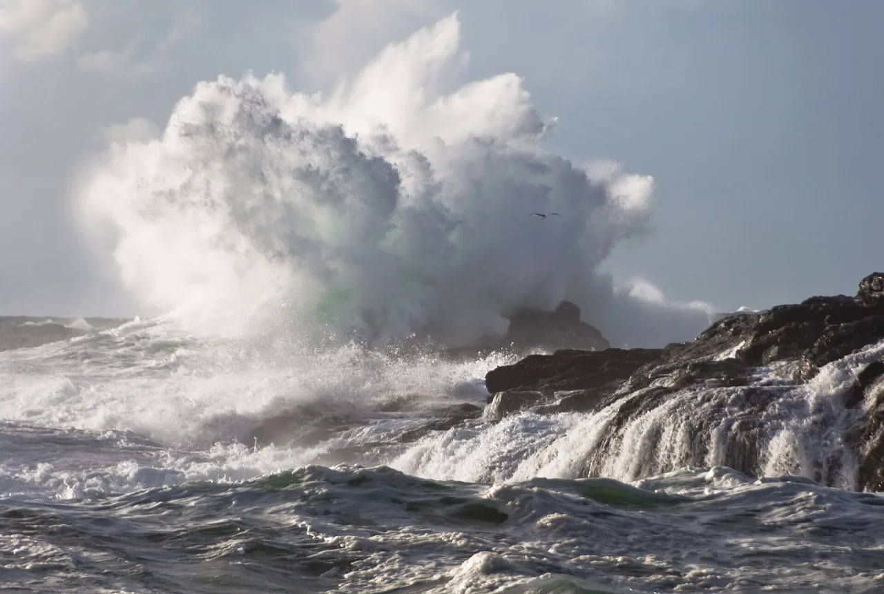 Large waves crashing on the rocky shore at South Beach in Pacific Rim National Park Reserve