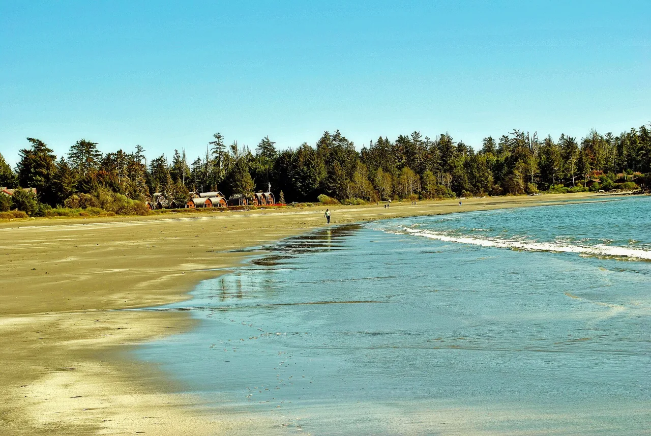 Calm, shallow turquoise water along the curve of tinwis beach below the forest